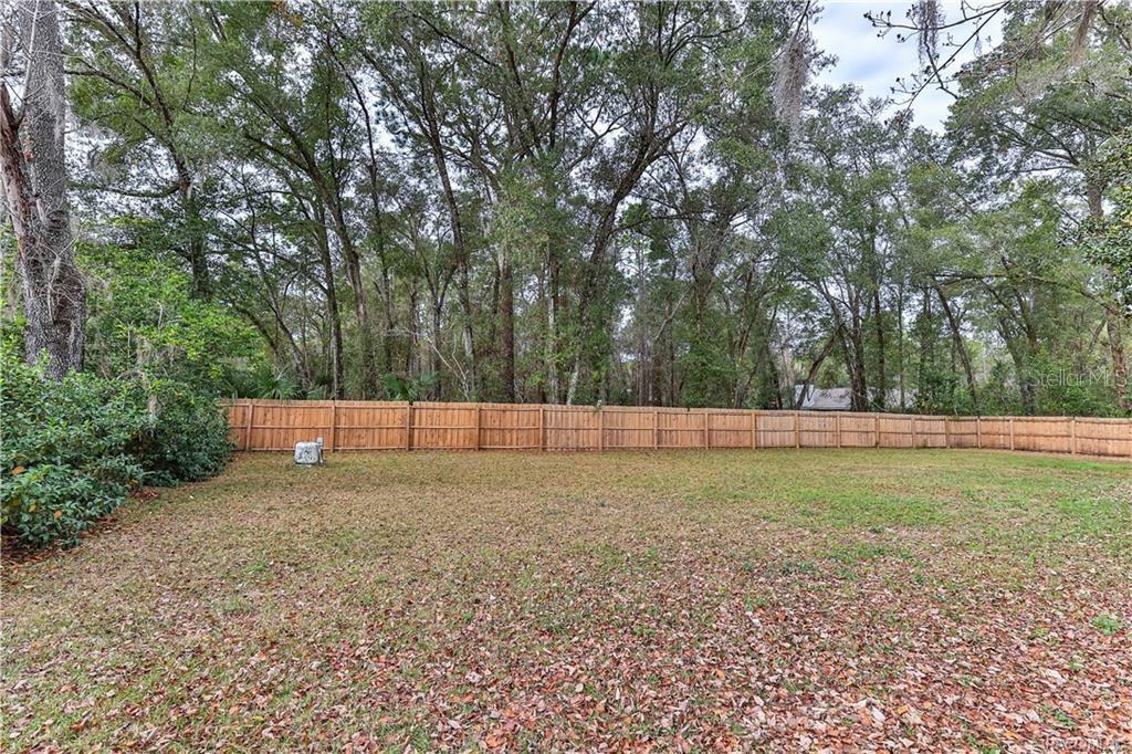 110 North Rooks Avenue Inverness, FL 34453 - Photo 34 of 34 a view of backyard with large trees