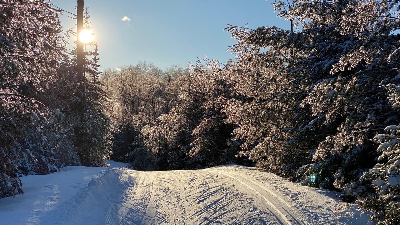 626 Otter Road, Unit 626 Grantham, NH 03753 - Photo 36 of 39