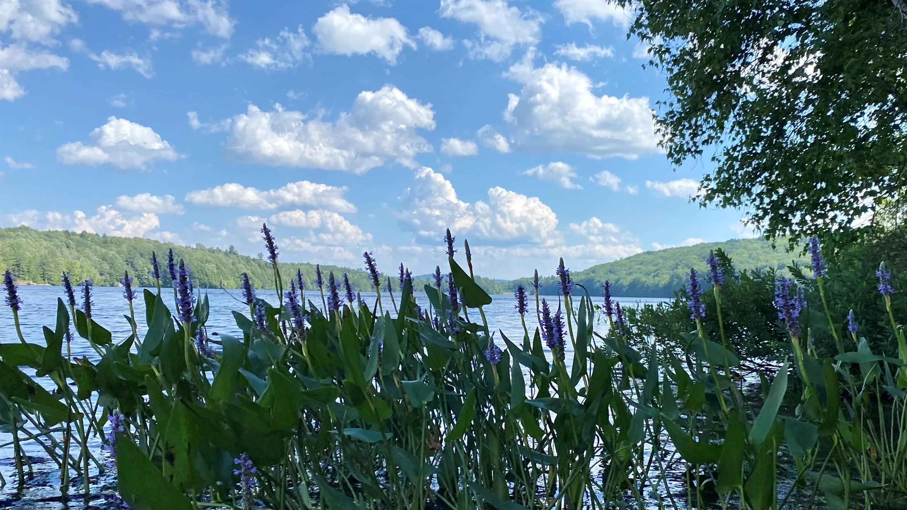 626 Otter Road, Unit 626 Grantham, NH 03753 - Photo 39 of 39