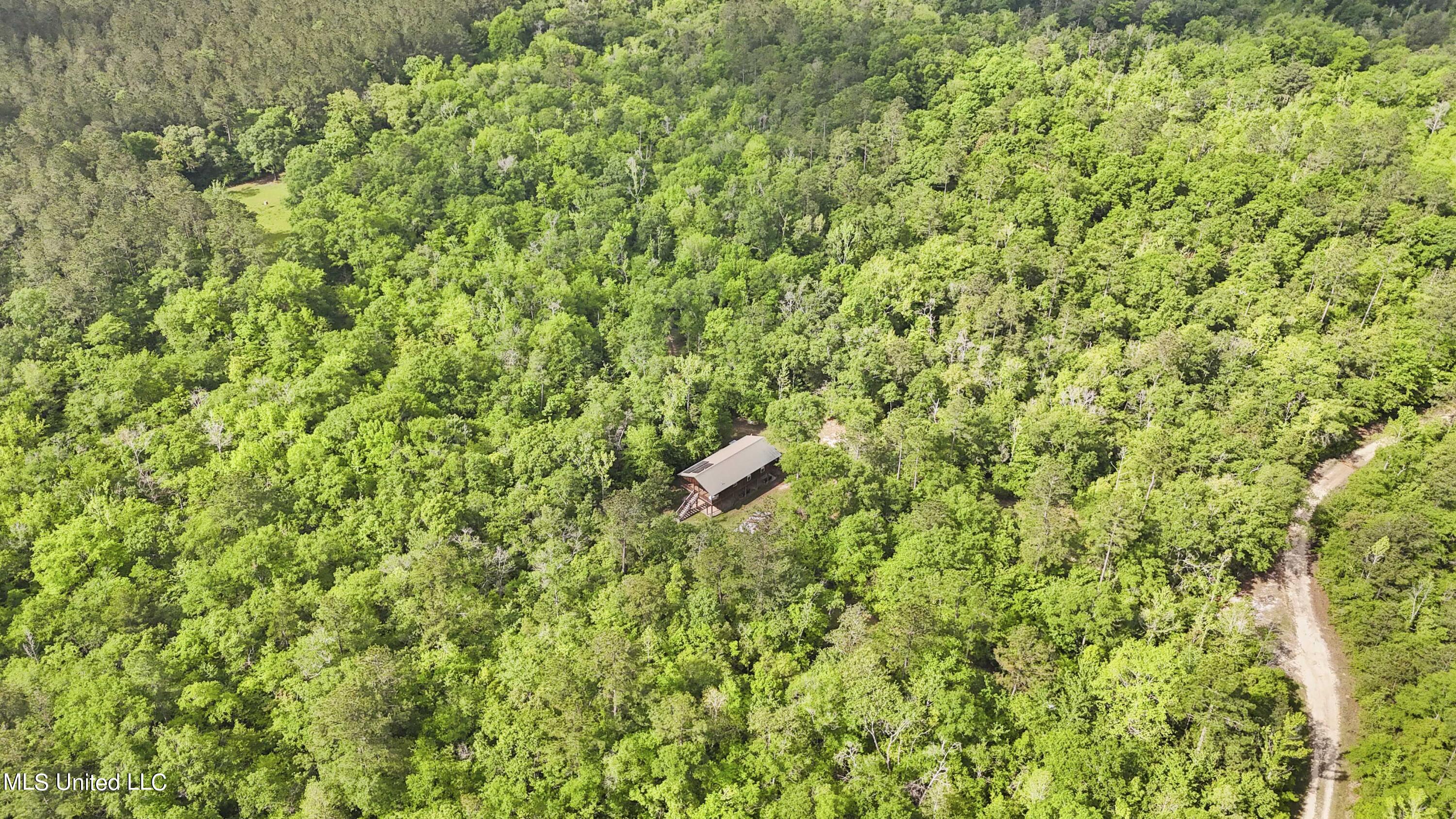 377 A Deep Creek Road Wiggins, MS 39577 - Photo 24 of 37 024