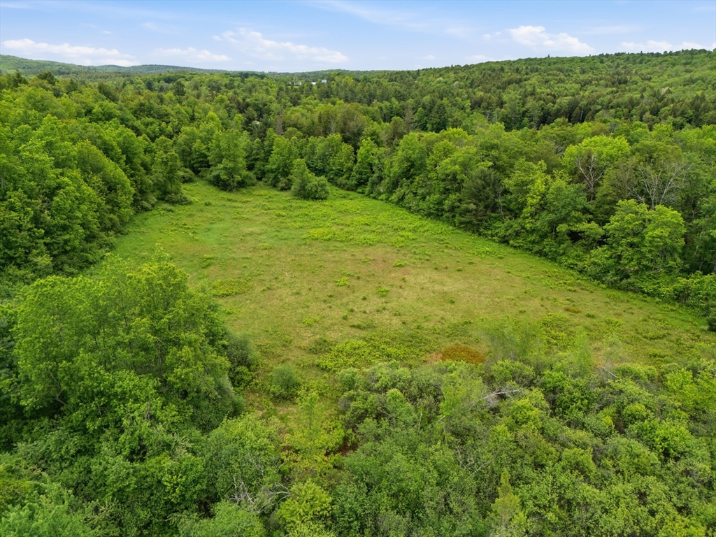 0 Capen/ Clark Road Worthington, MA 01098 - Photo 5 of 13