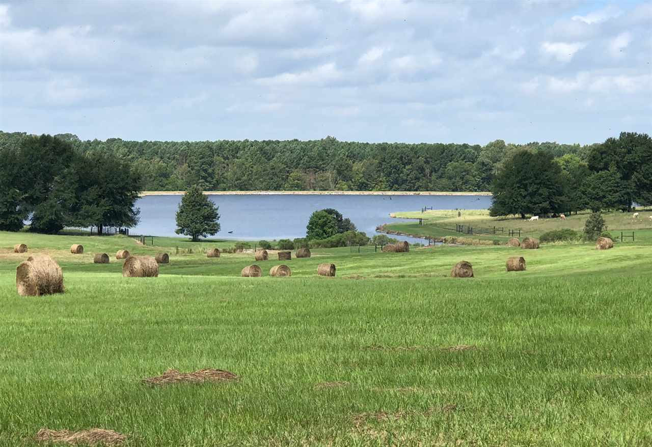 Cedar Hill Road, Unit PARCEL 4 Flora, MS 39071 - Photo 1 of 11 Photo 1