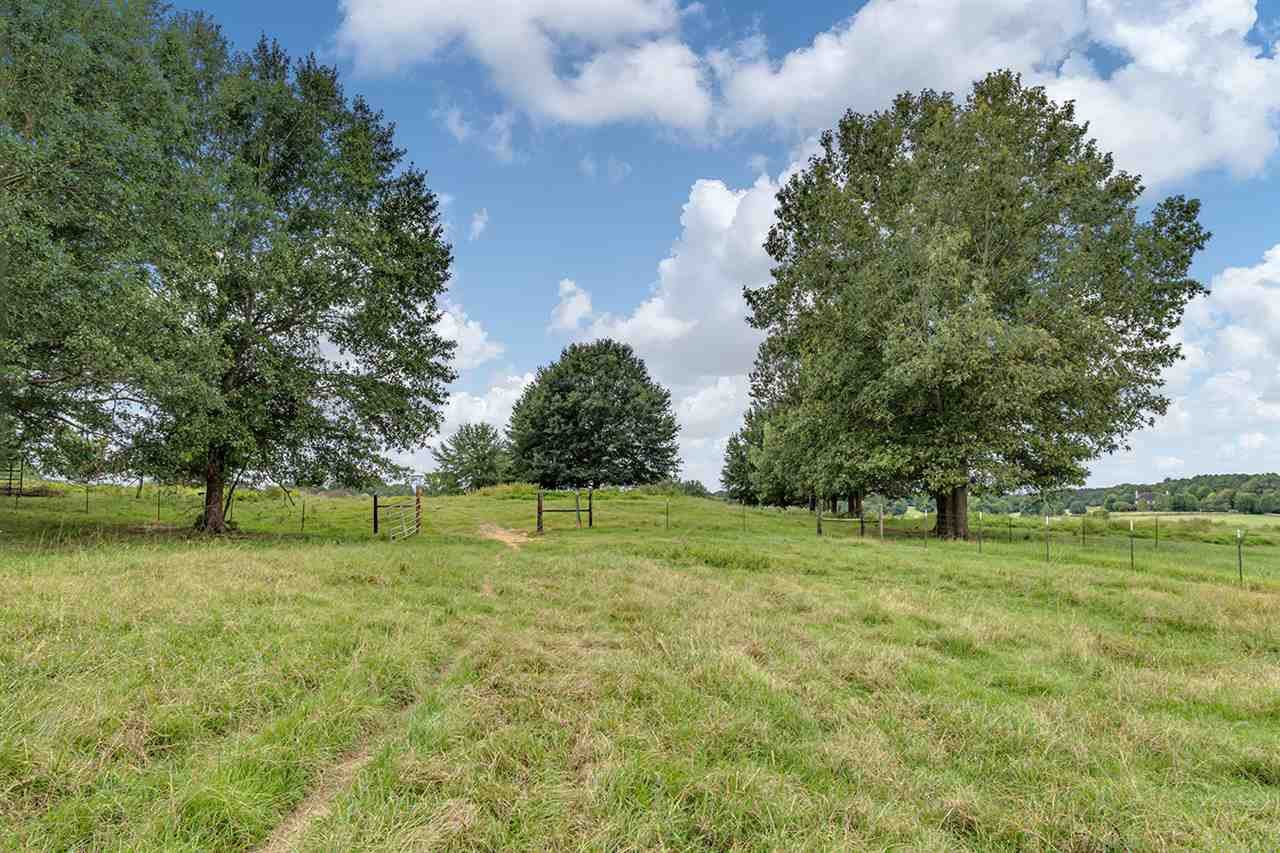 Cedar Hill Road, Unit PARCEL 4 Flora, MS 39071 - Photo 5 of 11 Photo 5