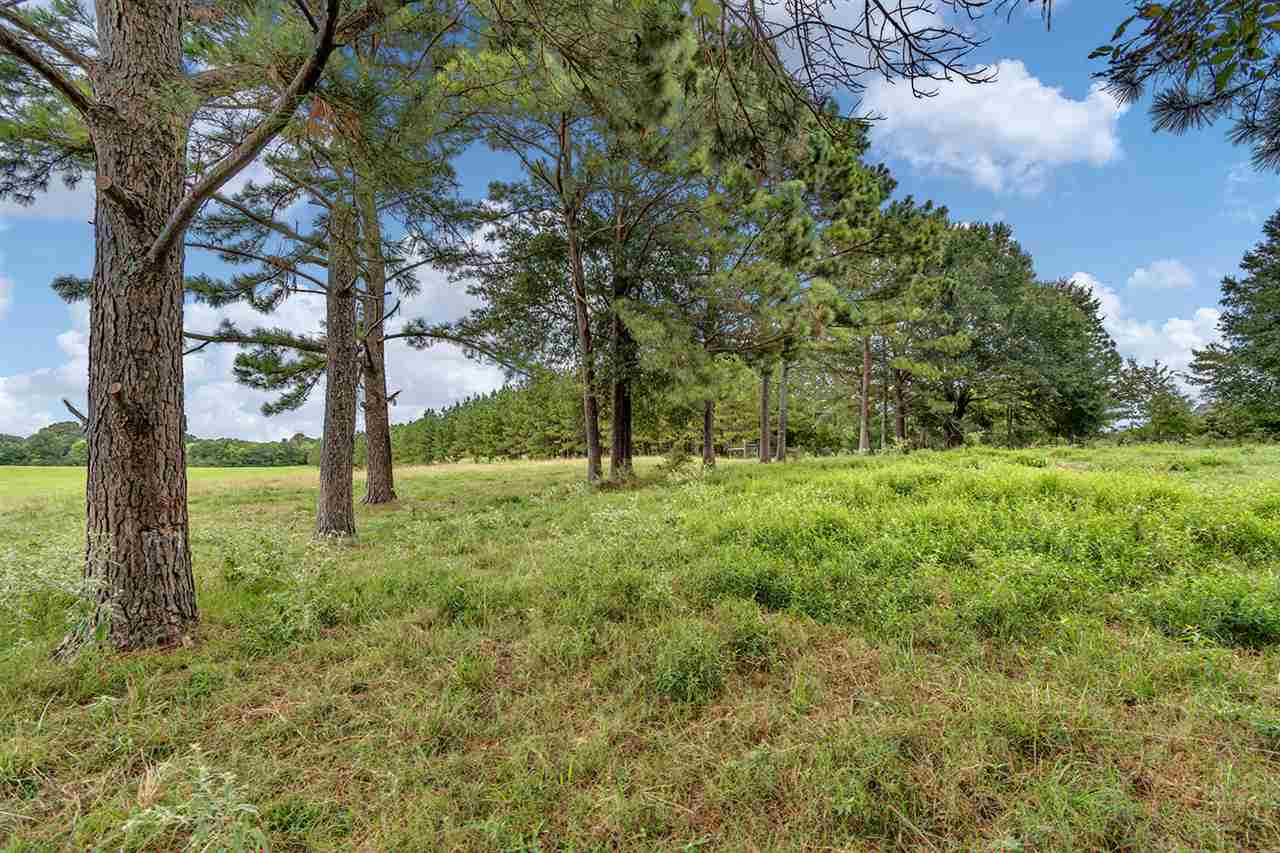 Cedar Hill Road, Unit PARCEL 4 Flora, MS 39071 - Photo 6 of 11 Photo 6