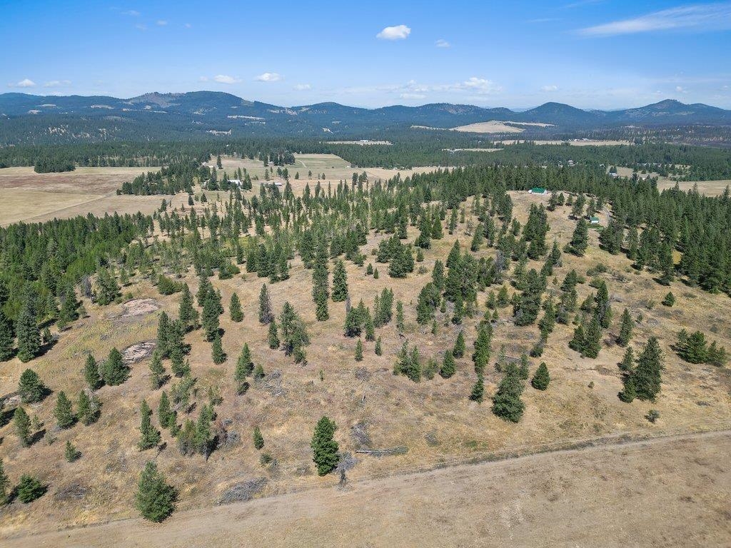 11512 East Bridges Road Elk, WA 99009 - Photo 11 of 30