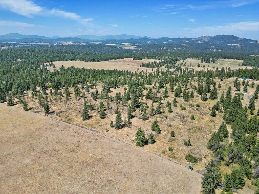 11512 East Bridges Road Elk, WA 99009 - Photo 12 of 30