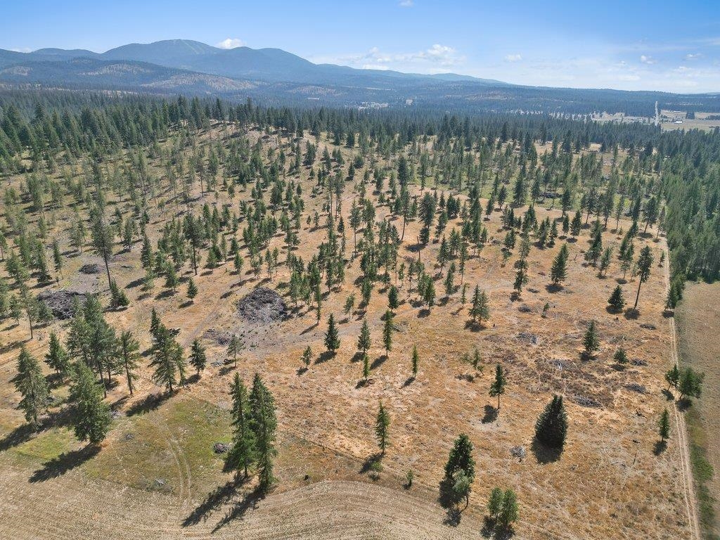 11512 East Bridges Road Elk, WA 99009 - Photo 13 of 30