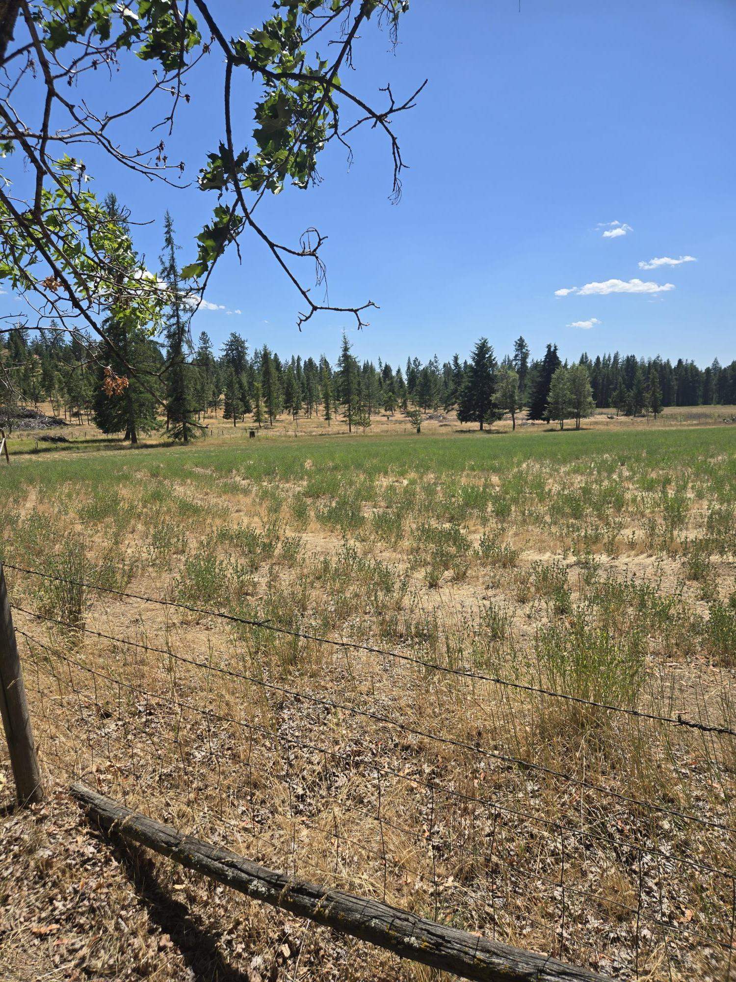 11512 East Bridges Road Elk, WA 99009 - Photo 18 of 30