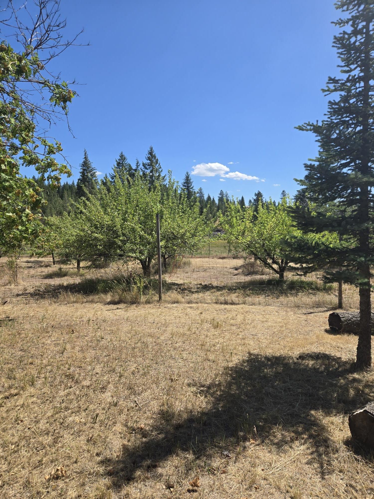 11512 East Bridges Road Elk, WA 99009 - Photo 19 of 30