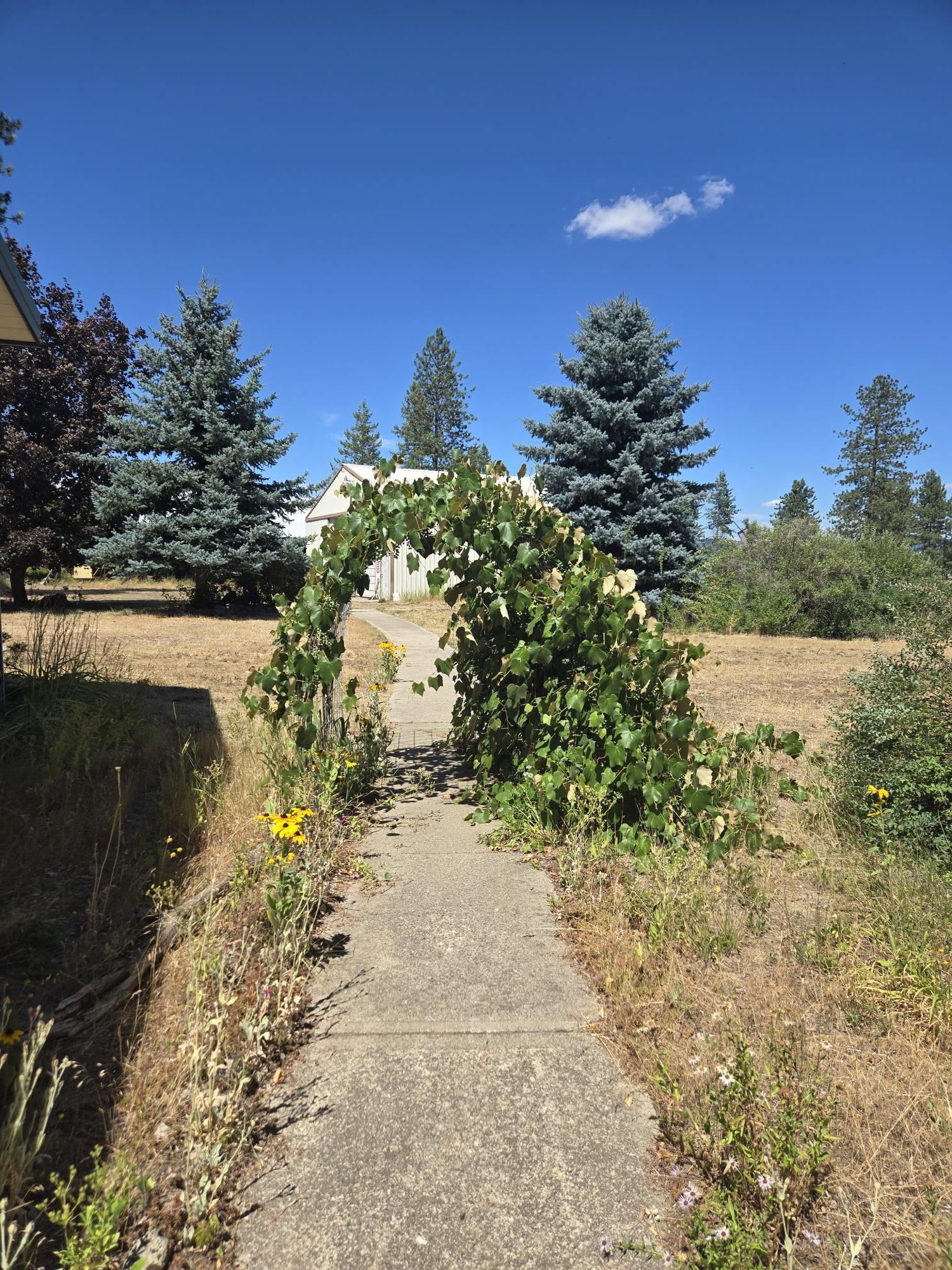 11512 East Bridges Road Elk, WA 99009 - Photo 20 of 30