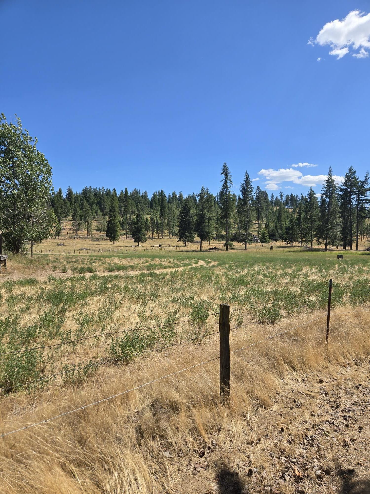 11512 East Bridges Road Elk, WA 99009 - Photo 28 of 30