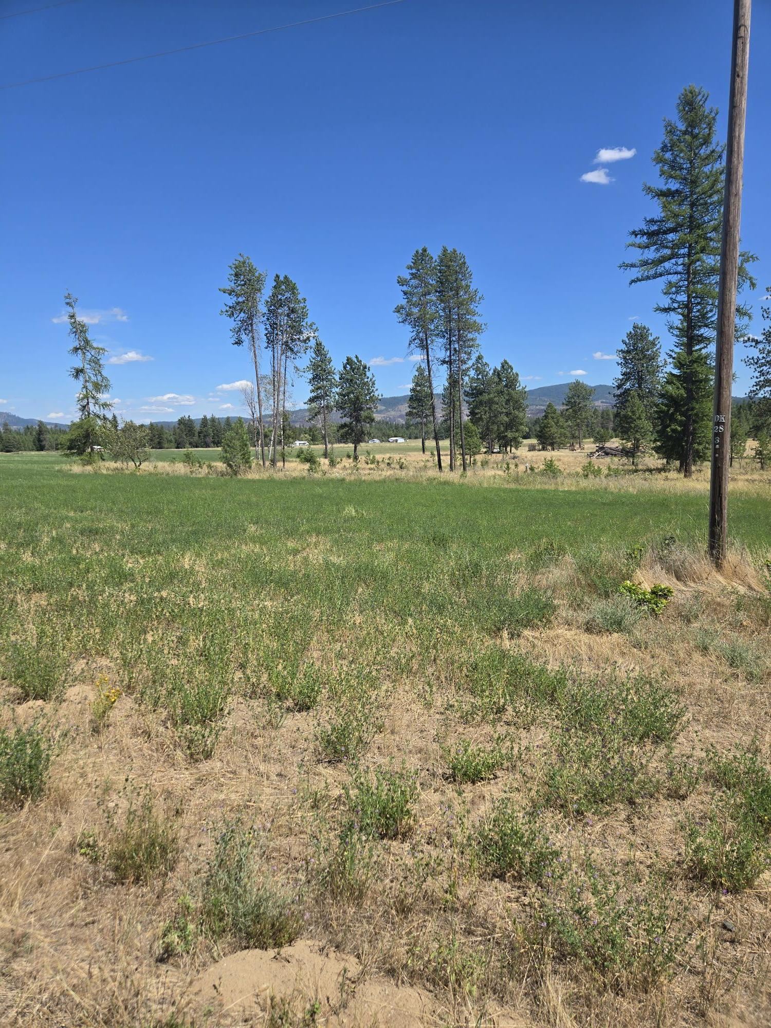 11512 East Bridges Road Elk, WA 99009 - Photo 29 of 30