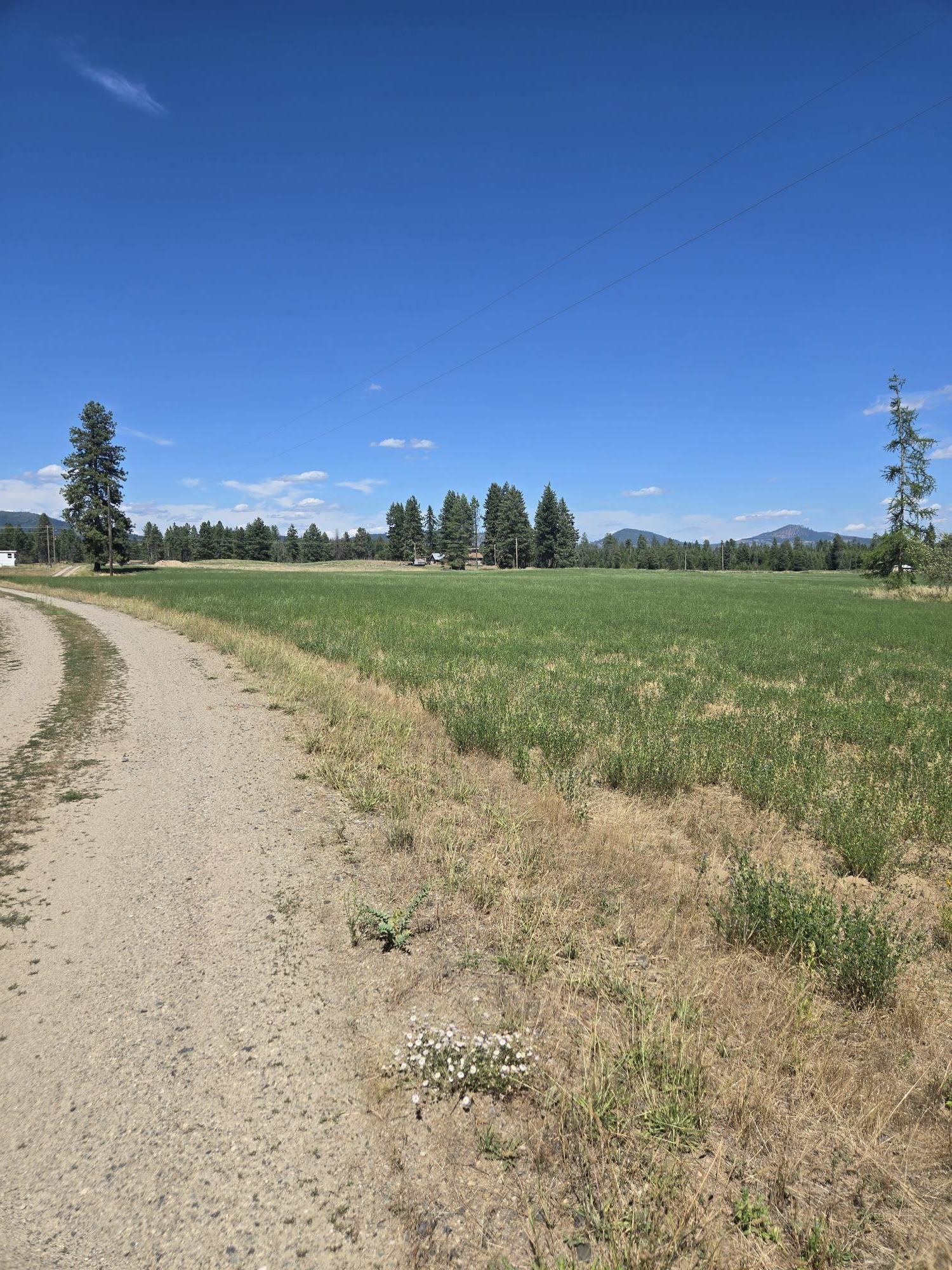 11512 East Bridges Road Elk, WA 99009 - Photo 30 of 30