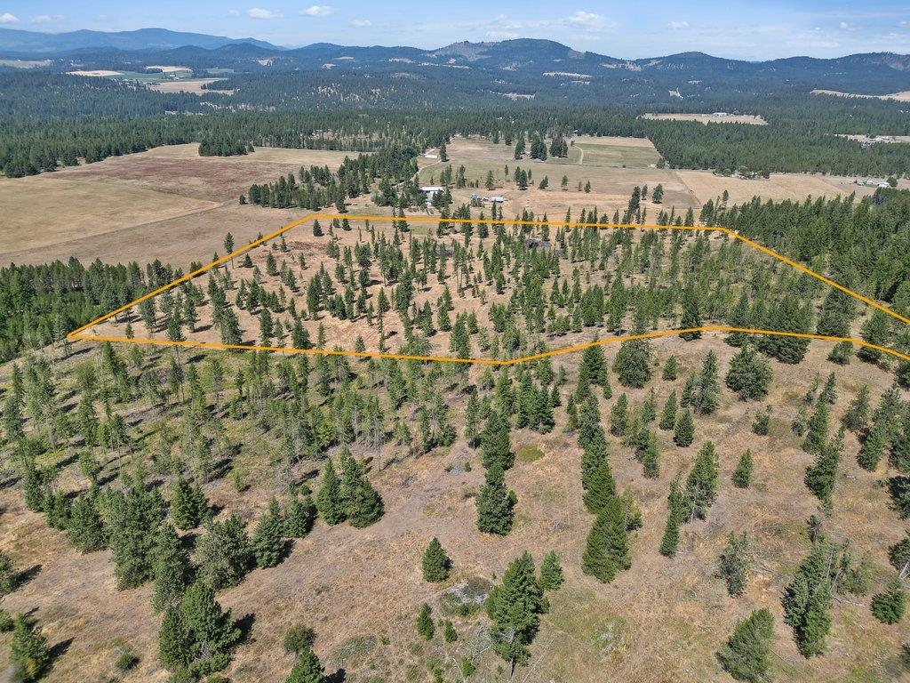 11512 East Bridges Road Elk, WA 99009 - Photo 6 of 30