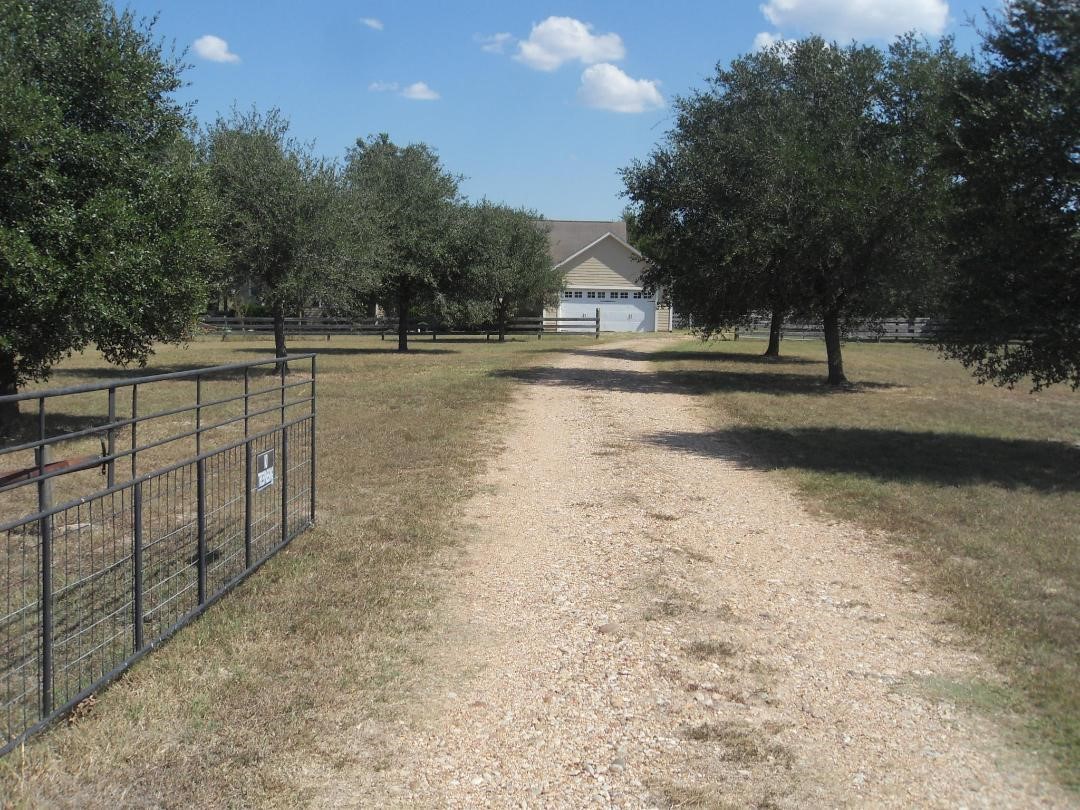8456 Schuster Road Ledbetter, TX 78946 - Photo 6 of 49 a view of backyard and tree