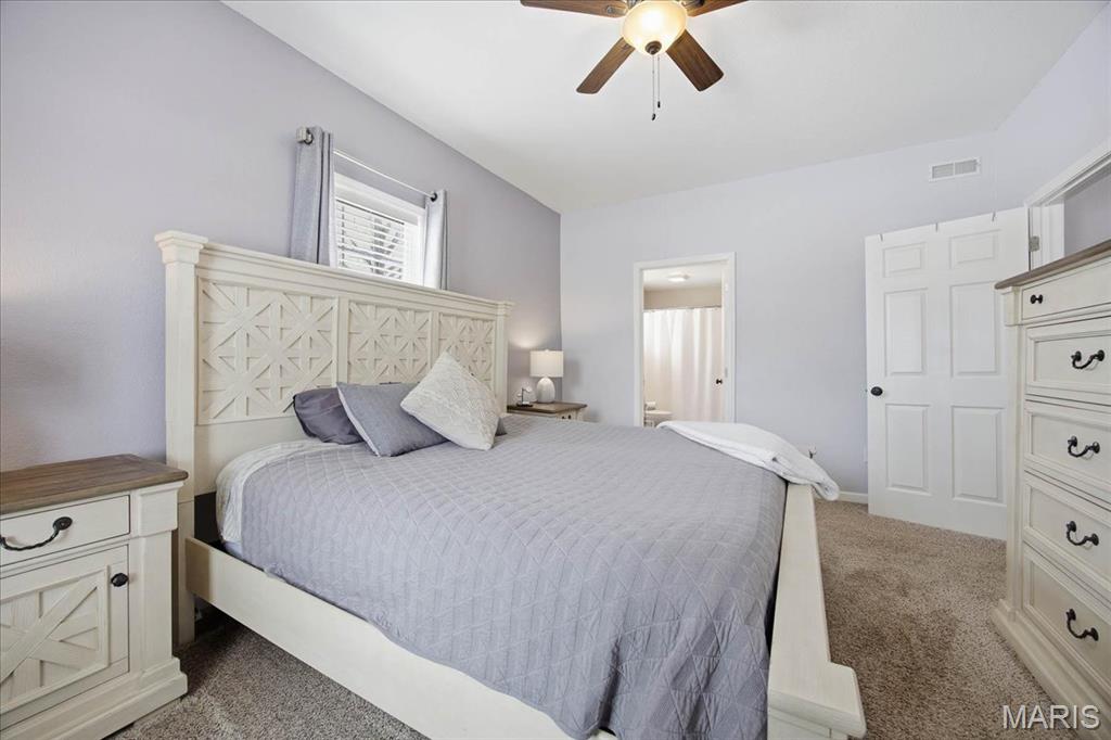 231 Franklin Street Carlyle, IL 62231 - Photo 20 of 49