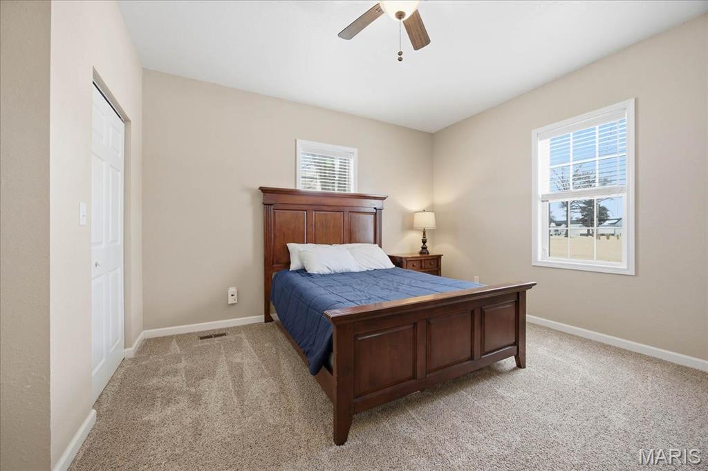 231 Franklin Street Carlyle, IL 62231 - Photo 21 of 48