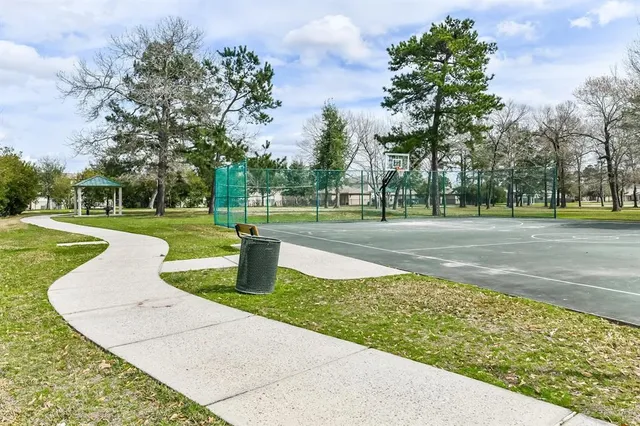 a view of a park with large trees