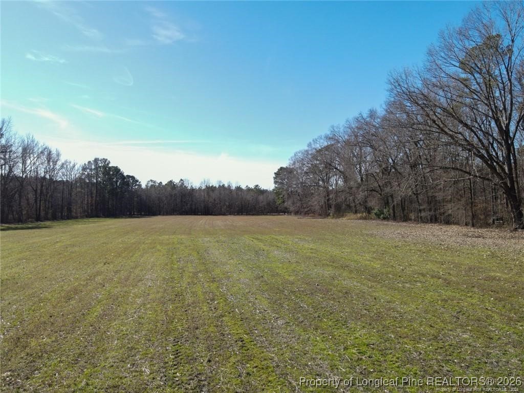 Dobbin Holmes Road Fayetteville, NC 28312 - Photo 3 of 6