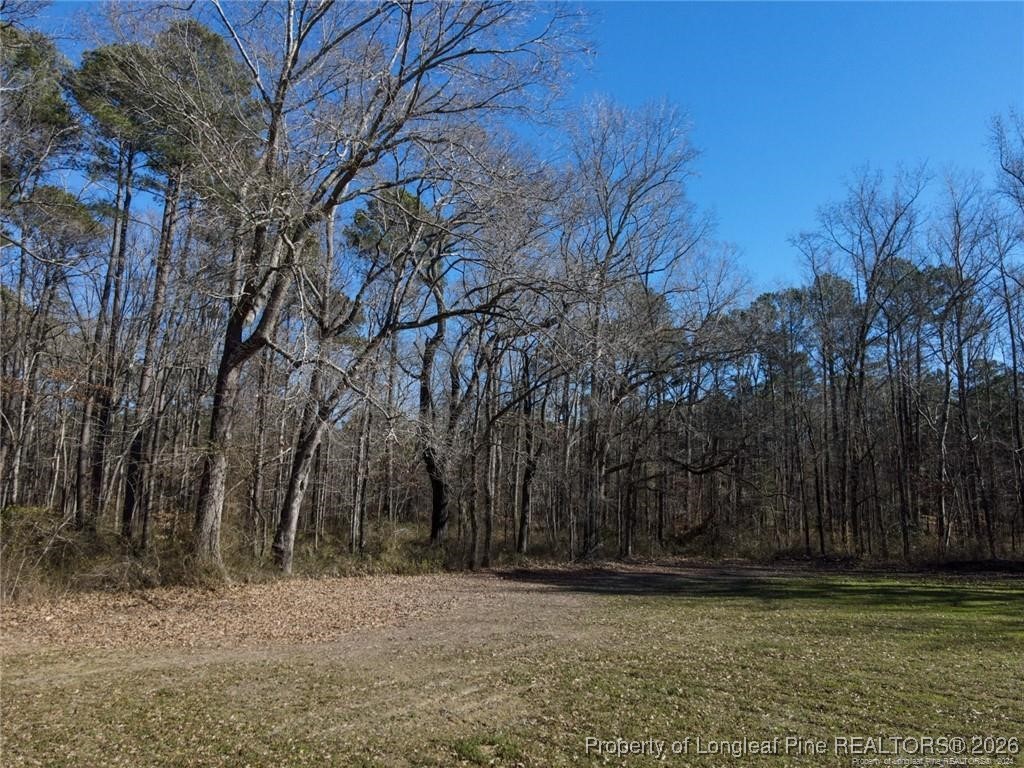 Dobbin Holmes Road Fayetteville, NC 28312 - Photo 5 of 6
