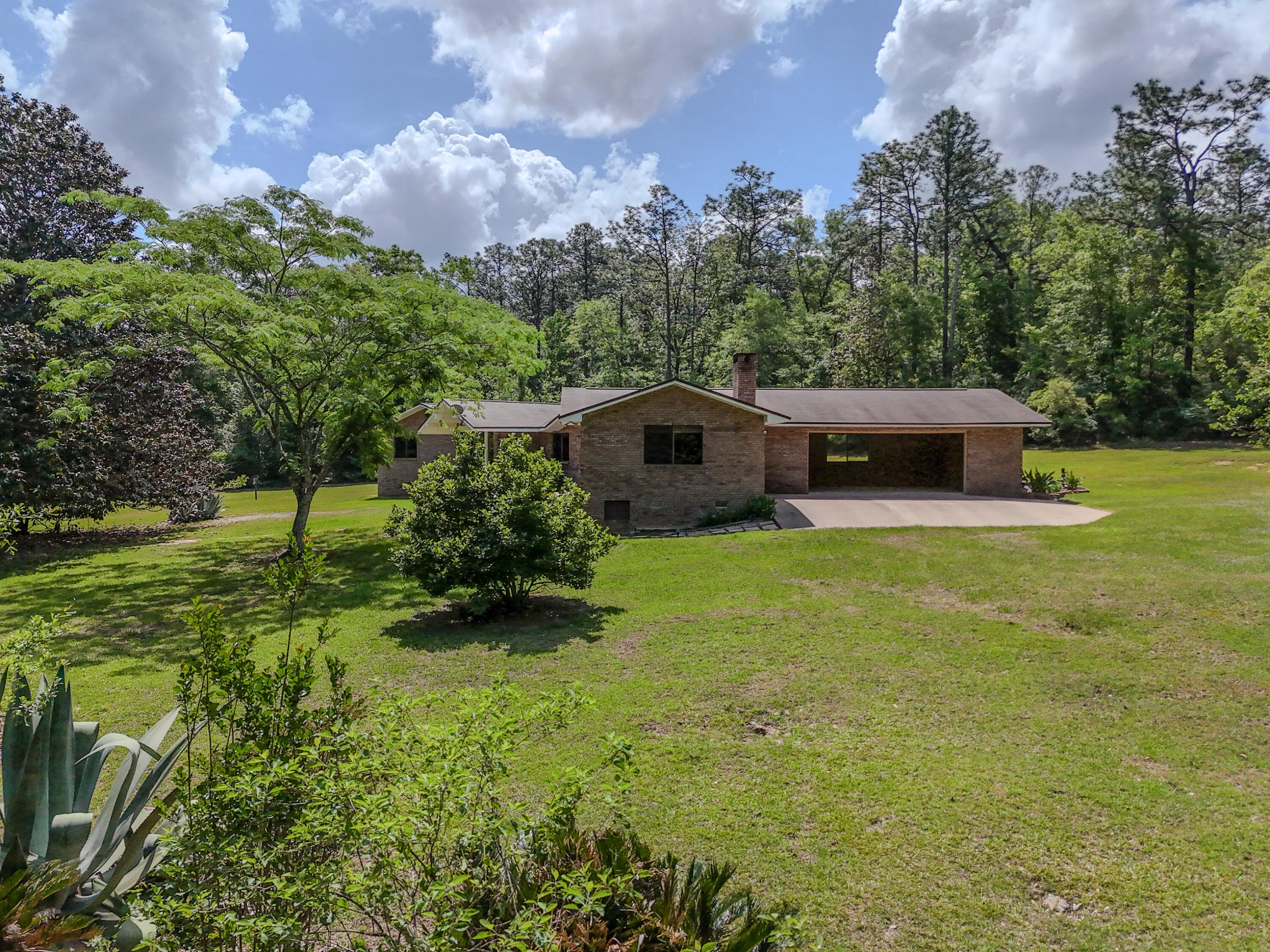 1186 Pine Forest Road Chipley, FL 32428 - Photo 14 of 75 Exterior Back Yard