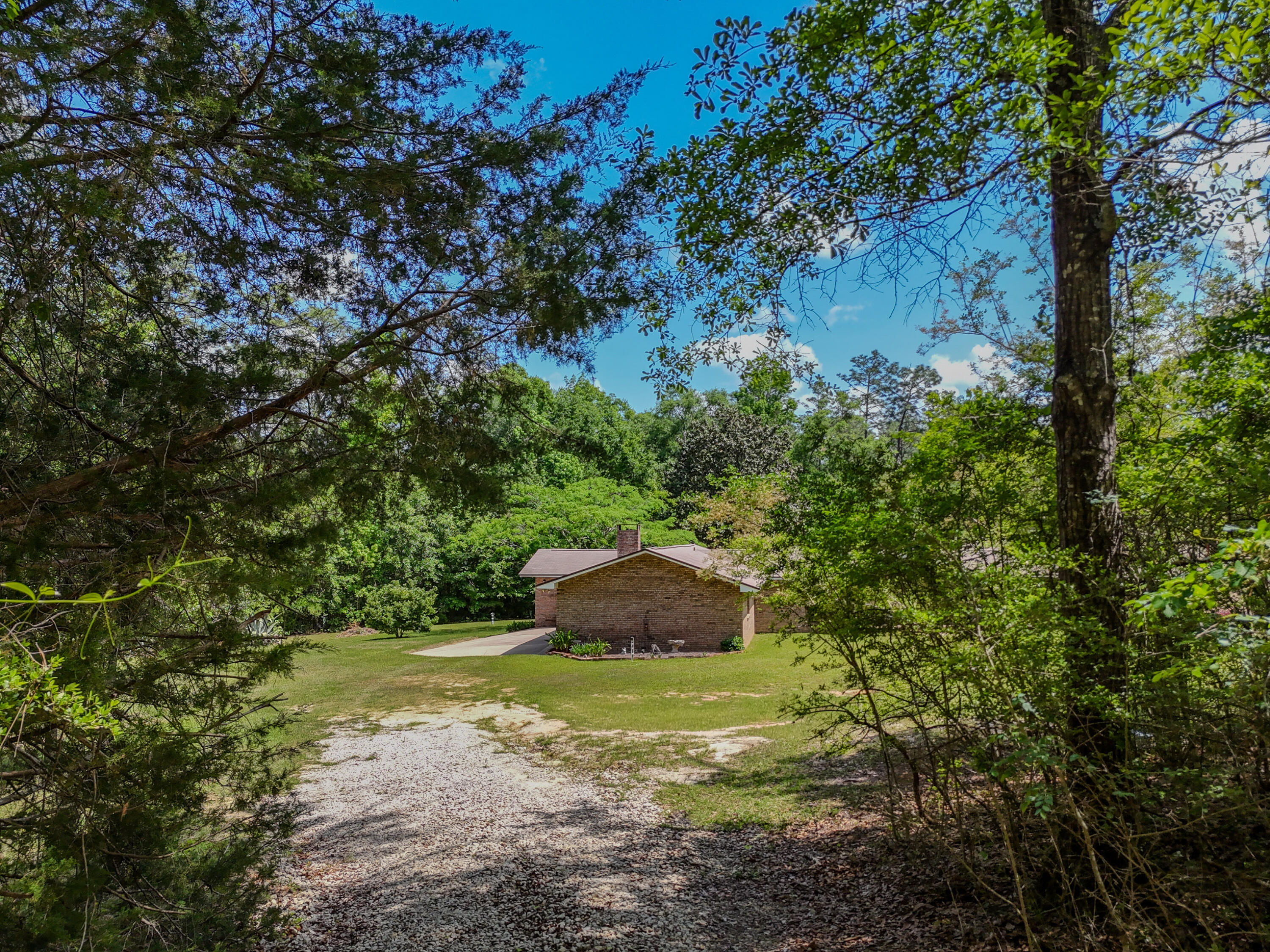 1186 Pine Forest Road Chipley, FL 32428 - Photo 22 of 75 View from the Private Driveway