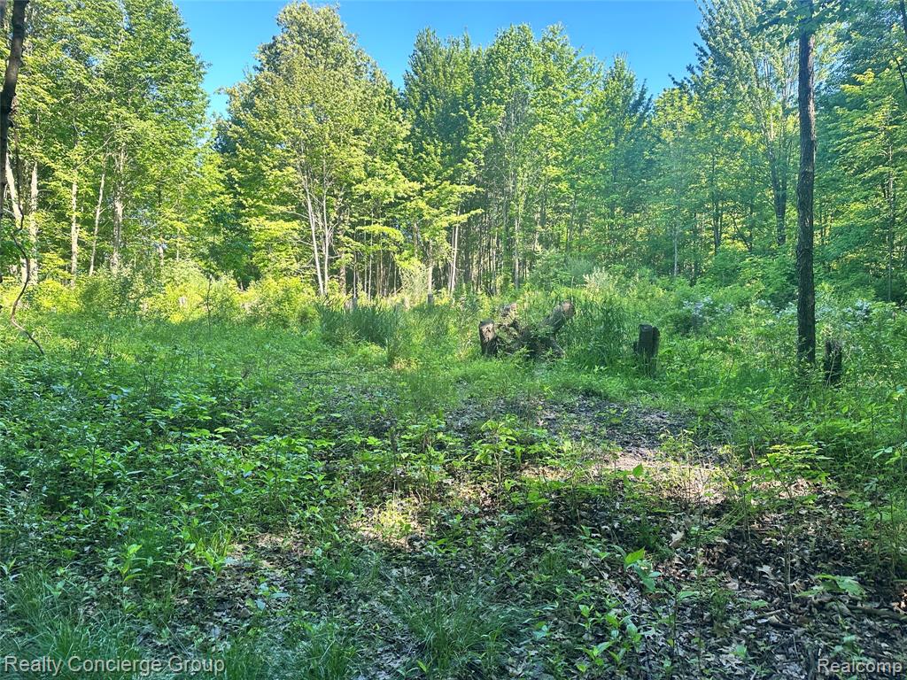 2681 Fisk Road Howell, MI 48843 - Photo 12 of 19
