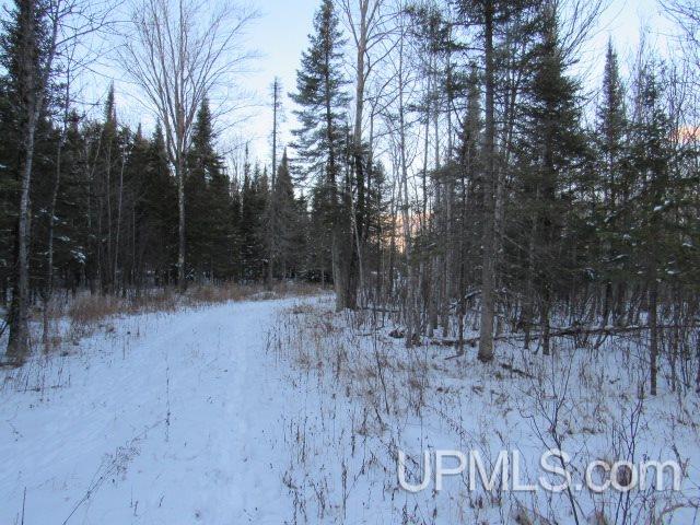 Tbd Tbd Tower Perkins, MI 49872 - Photo 8 of 22