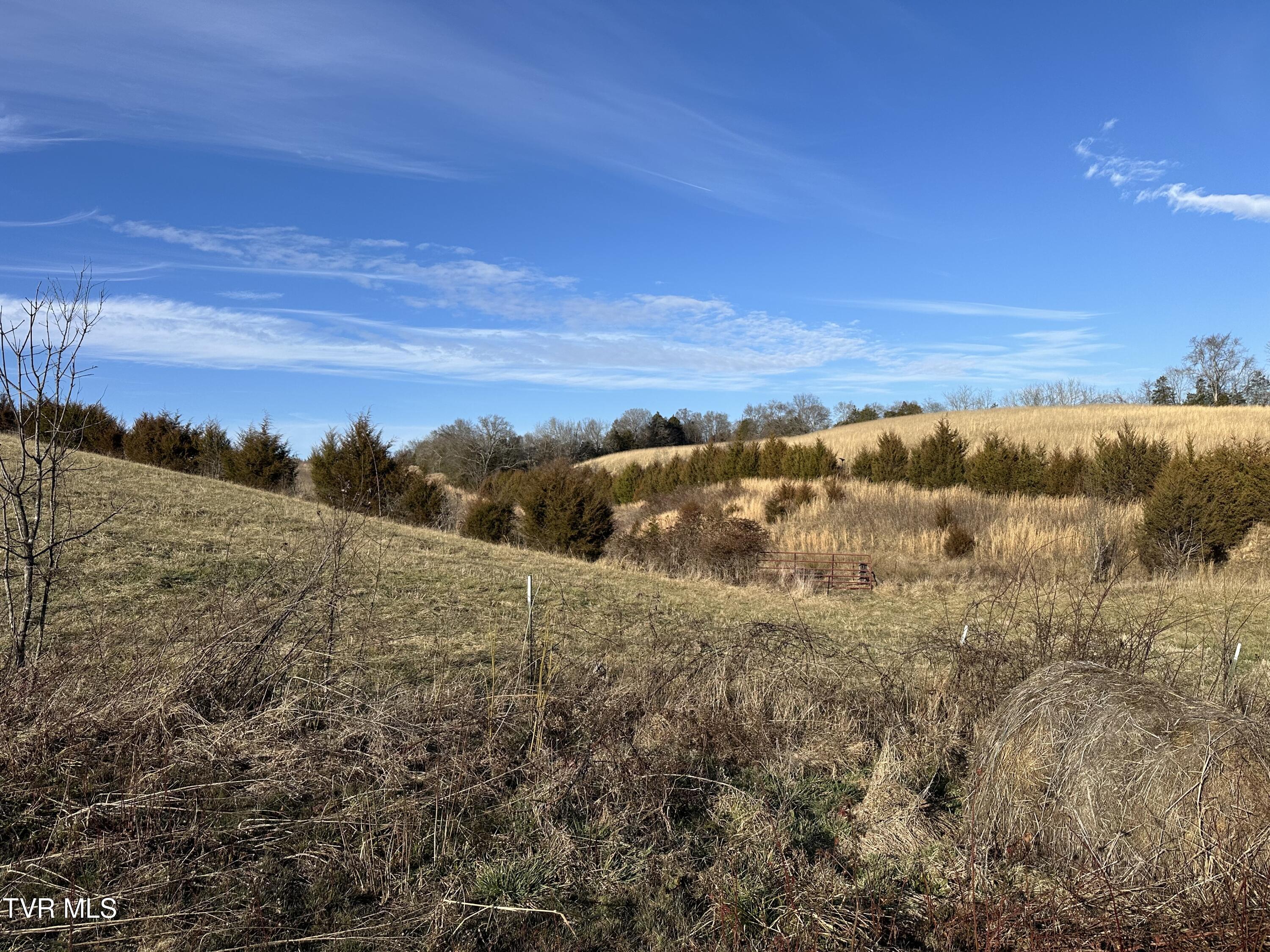 Lot 2 Hoover Road Greeneville, TN 37745 - Photo 7 of 29 IMG_7669