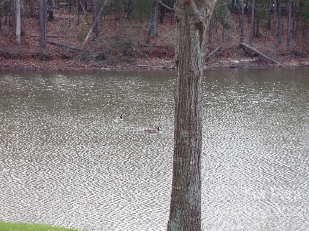 1845 B Bechtler Road Edgemoor, SC 29712 - Photo 2 of 7 a view of a lake view