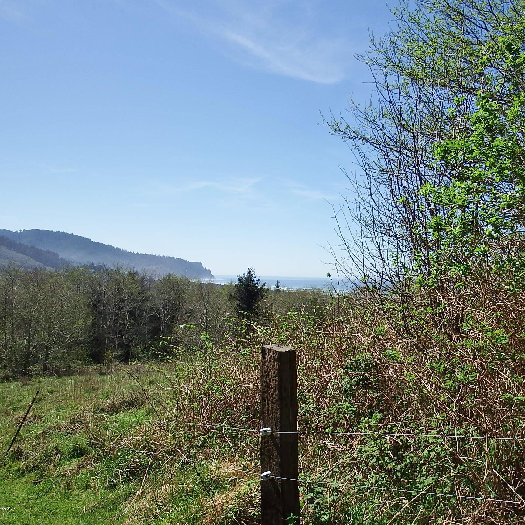 6205 Scherzinger Road Neskowin, OR 97149 - Photo 65 of 88 View West Property Line