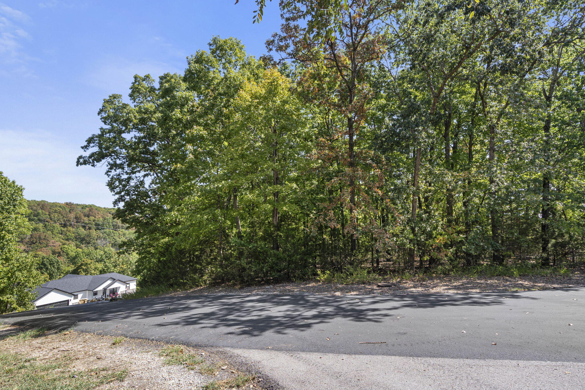 232-234 Bethany Lane Reeds Spring, MO 65737 - Photo 2 of 39 Bethany-Ln-Make-This-Lot-Yours