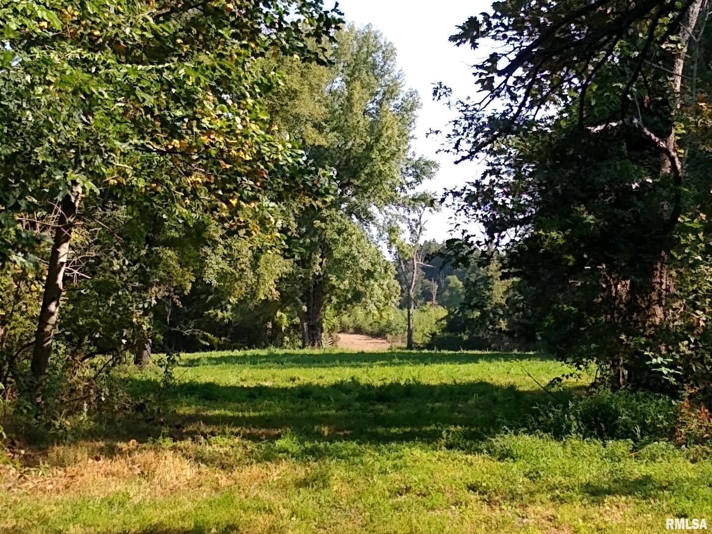 39 Bushwack Road Golconda, IL 62938 - Photo 22 of 28 a view of a garden