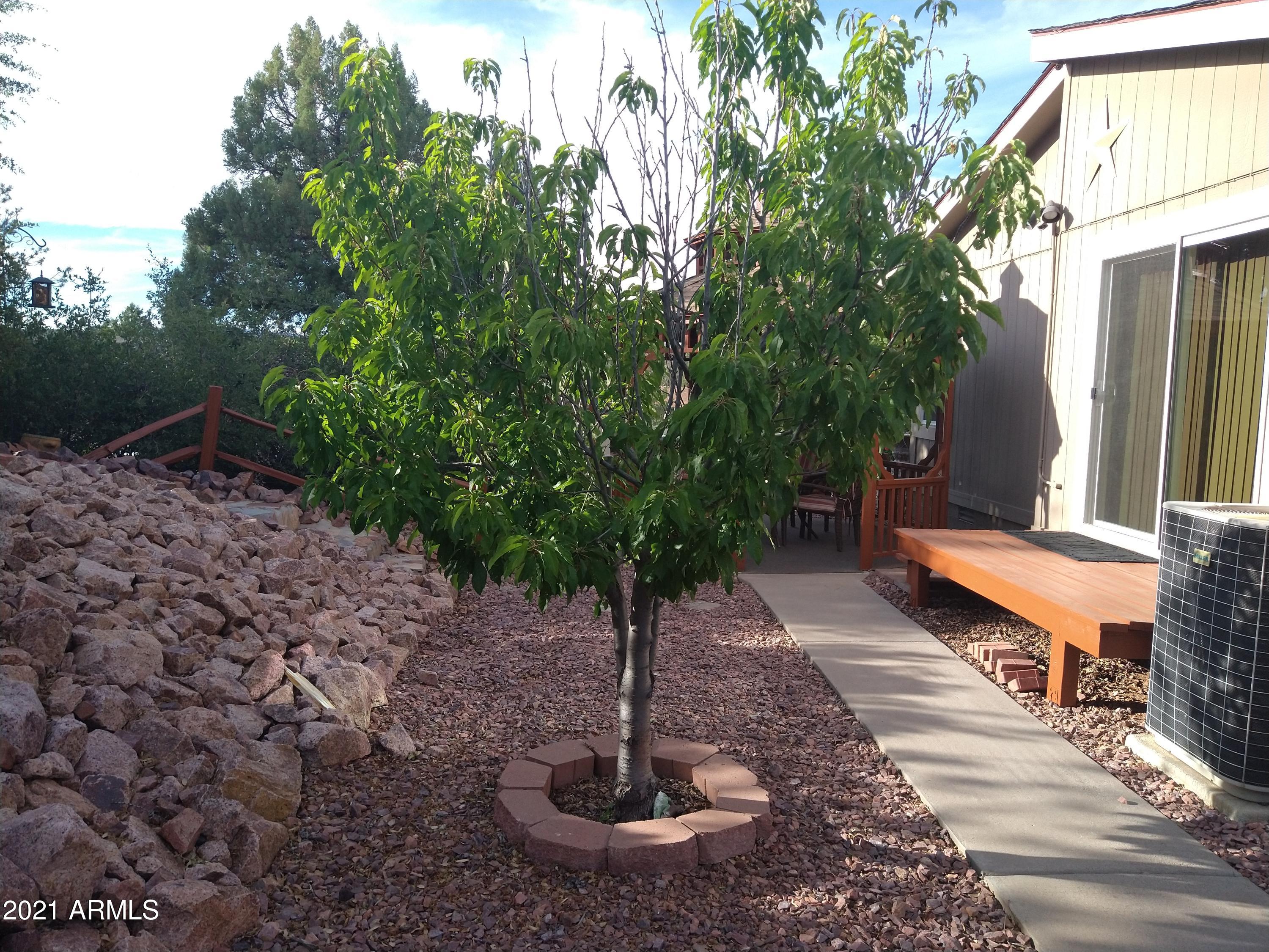 300 South Rim Rock Point Payson, AZ 85541 - Photo 14 of 40 Peach Tree