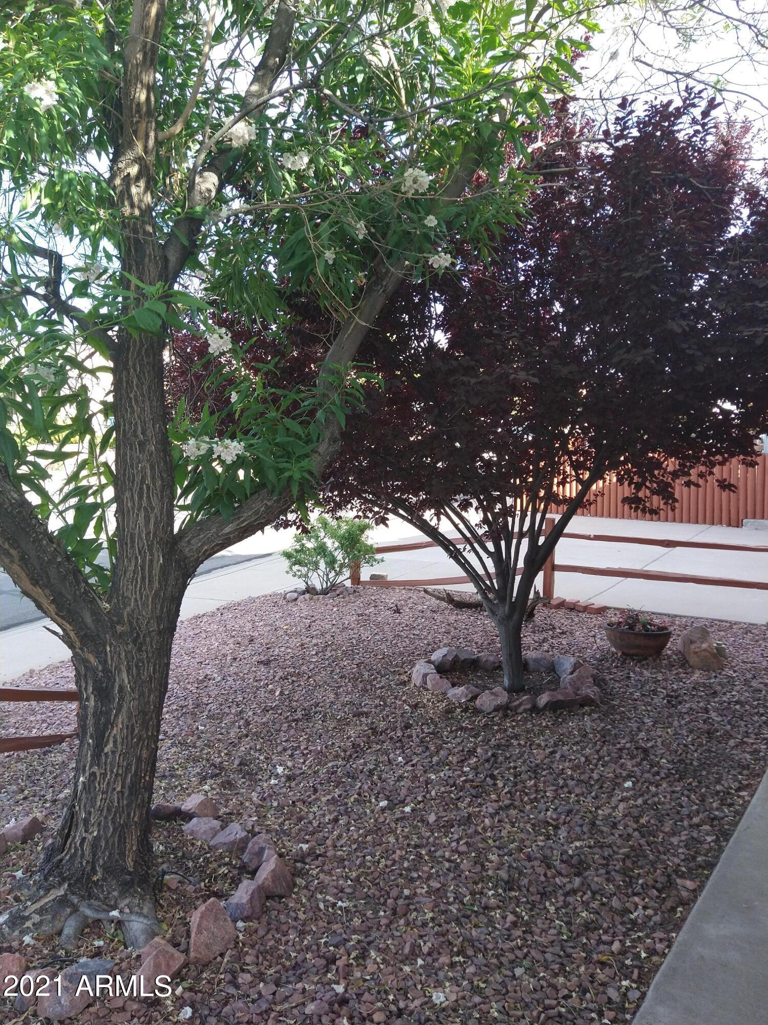 300 South Rim Rock Point Payson, AZ 85541 - Photo 9 of 40 Lovely Trees