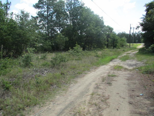 4447 Deans Bridge Road Blythe, GA 30805 - Photo 11 of 12