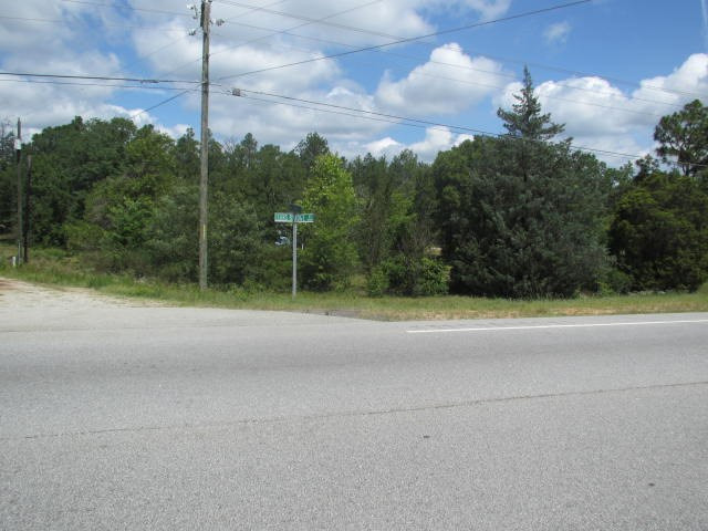 4447 Deans Bridge Road Blythe, GA 30805 - Photo 5 of 12