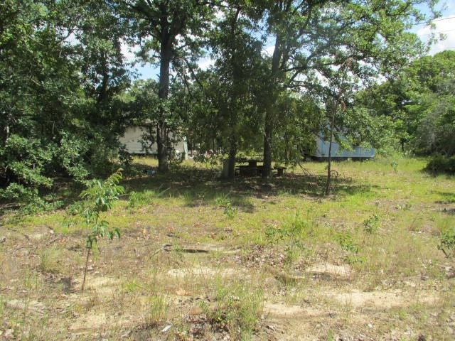4447 Deans Bridge Road Blythe, GA 30805 - Photo 6 of 12