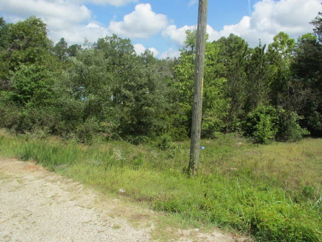 4447 Deans Bridge Road Blythe, GA 30805 - Photo 8 of 12