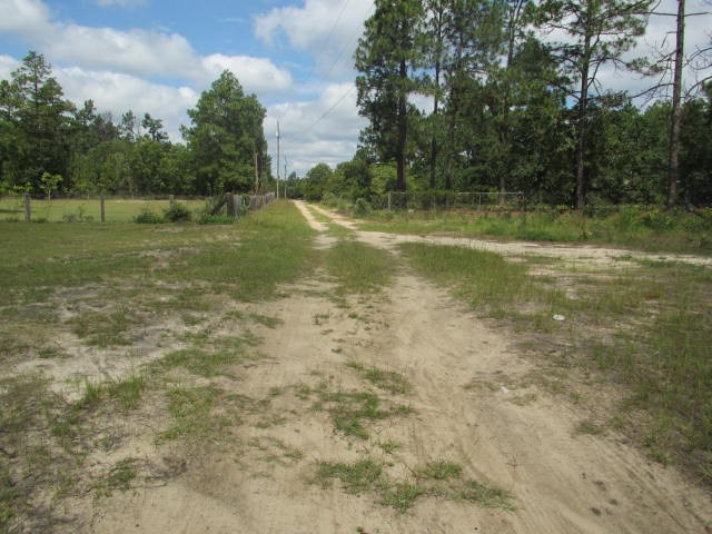 4447 Deans Bridge Road Blythe, GA 30805 - Photo 9 of 12