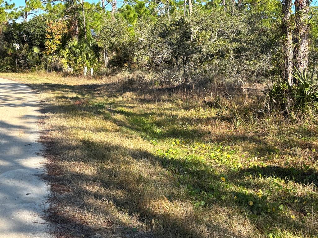 1012 Porter Street St. George Island, FL 32328 - Photo 5 of 22