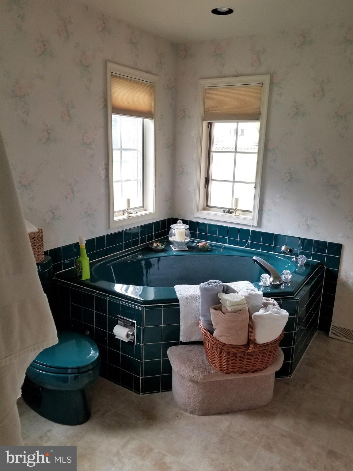 11663 Country Club Road Waynesboro, PA 17268 - Photo 17 of 29 Whirlpool Tub