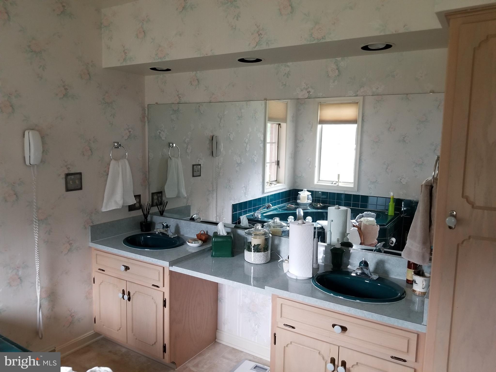 11663 Country Club Road Waynesboro, PA 17268 - Photo 18 of 29 Double Vanity Sink