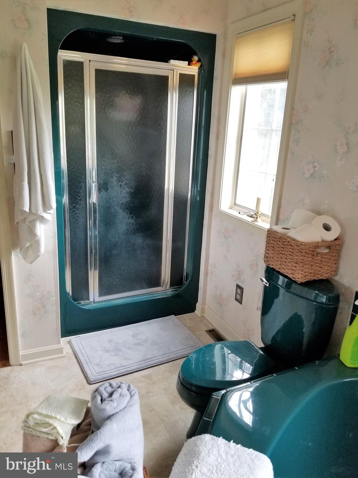 11663 Country Club Road Waynesboro, PA 17268 - Photo 19 of 29 Separate Walk-in Shower