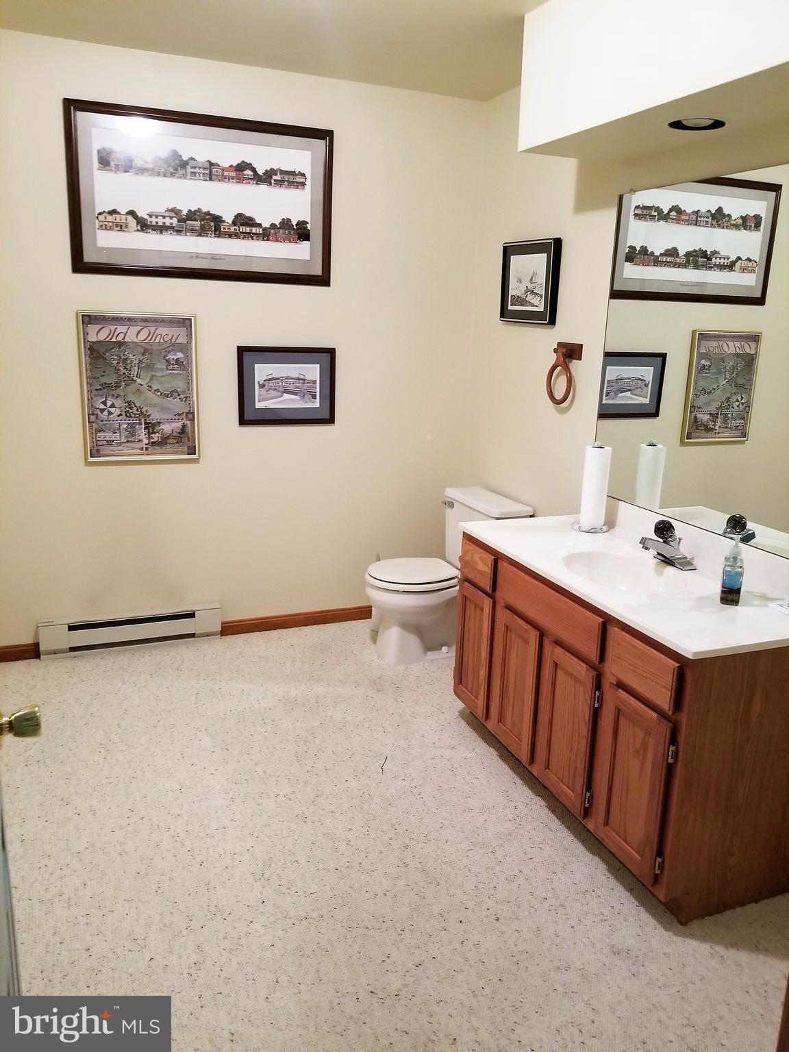 11663 Country Club Road Waynesboro, PA 17268 - Photo 27 of 29 Basement Bath