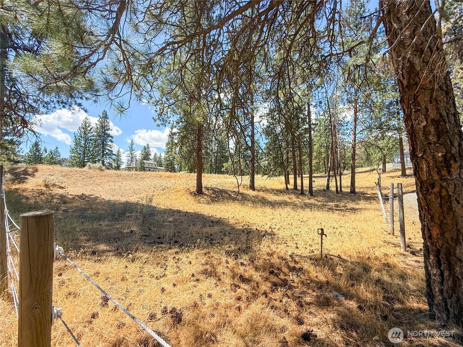 113 Crumbacher Road Tonasket, WA 98855 - Photo 6 of 18