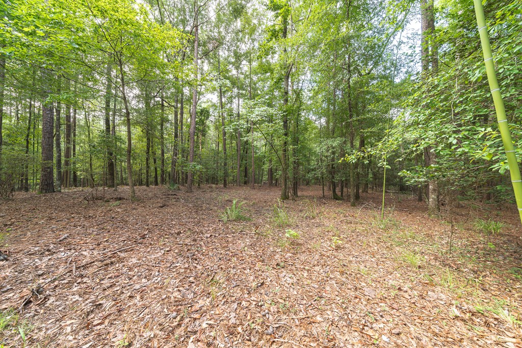 7950 Shallowford Road Upatoi, GA 31829 - Photo 16 of 54 Gallery Image 16