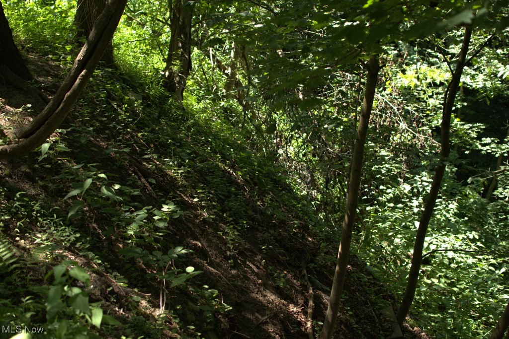 Rabbit Hill Road Wellsburg, WV 26070 - Photo 3 of 25 Gallery Image 3