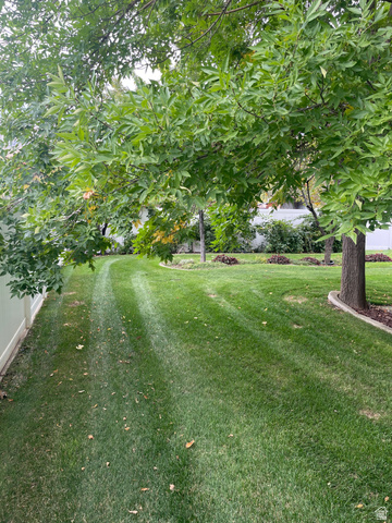 499 East 300 North Alpine, UT 84004 - Photo 42 of 59