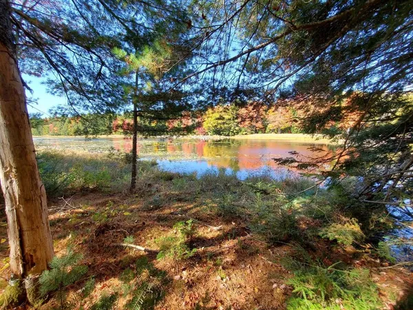 $89,000 | 0 Clifford Lake Road, Princeton, ME 04668